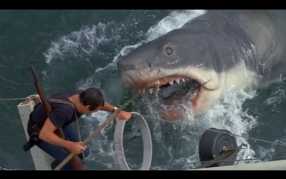 深海狂鲨电影大白鲨图片