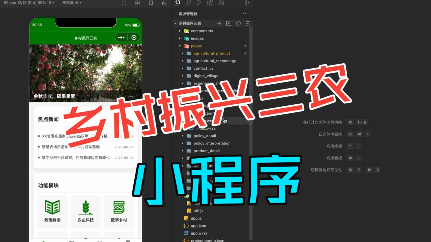 乡村振兴三农小程序