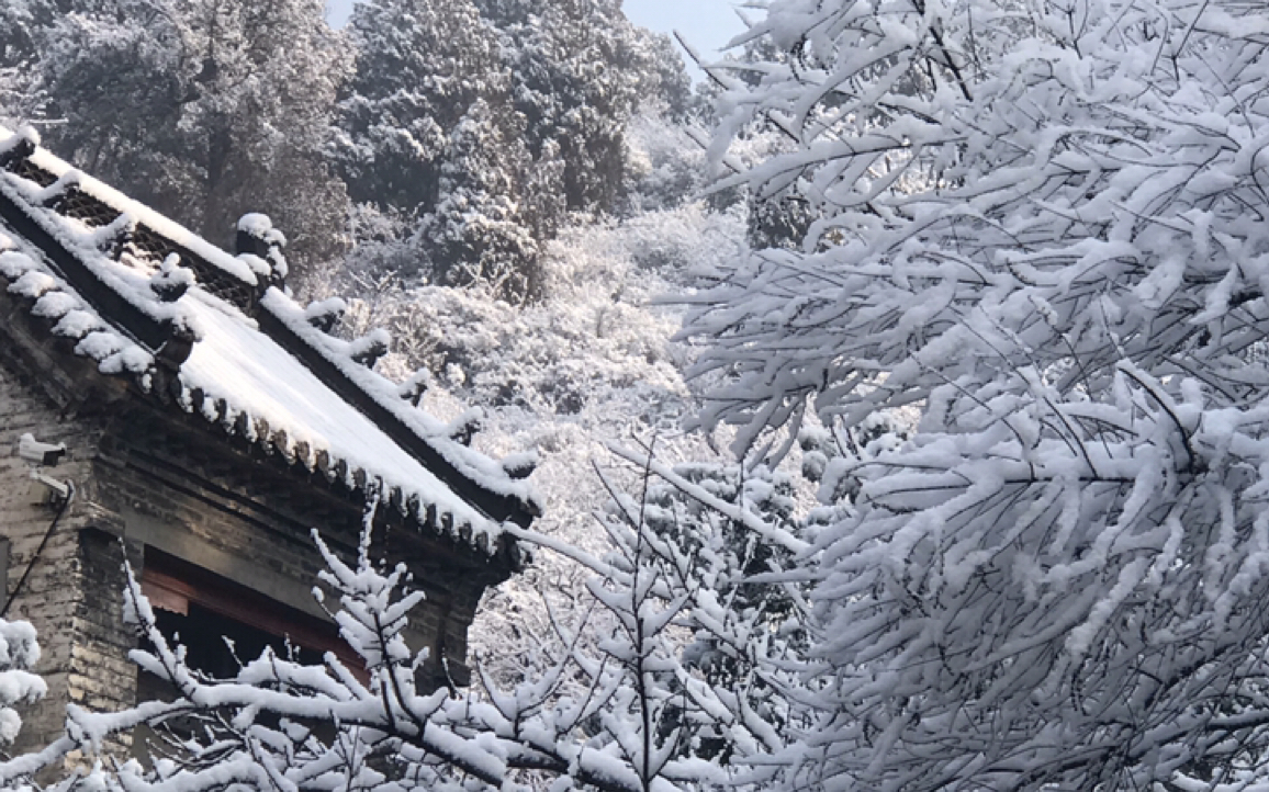 “风雪山神庙”,山东暴雪过后探访青云寺,被围困冰雪覆盖的竹林深处哔哩哔哩bilibili