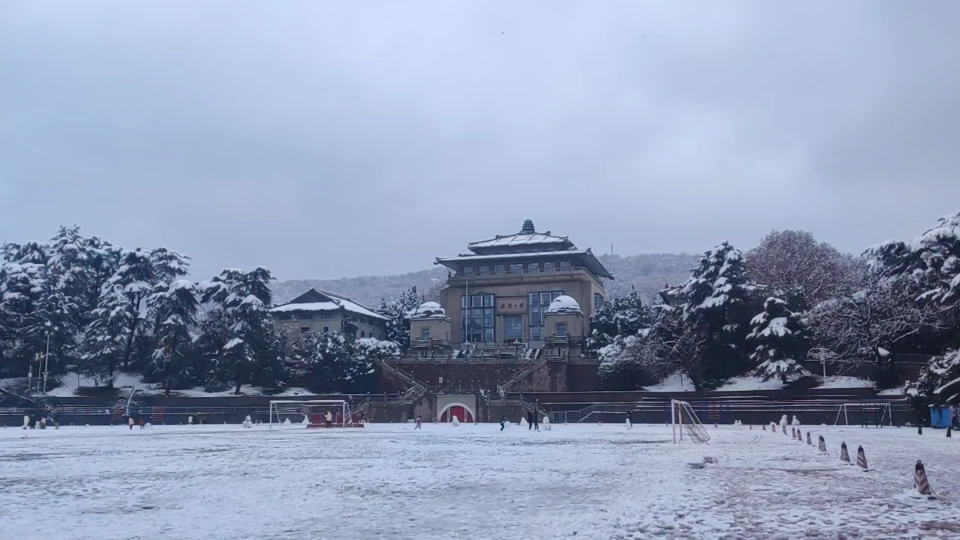 [图]2022年武汉的第一场雪 | 沉浸式带你去武大看雪