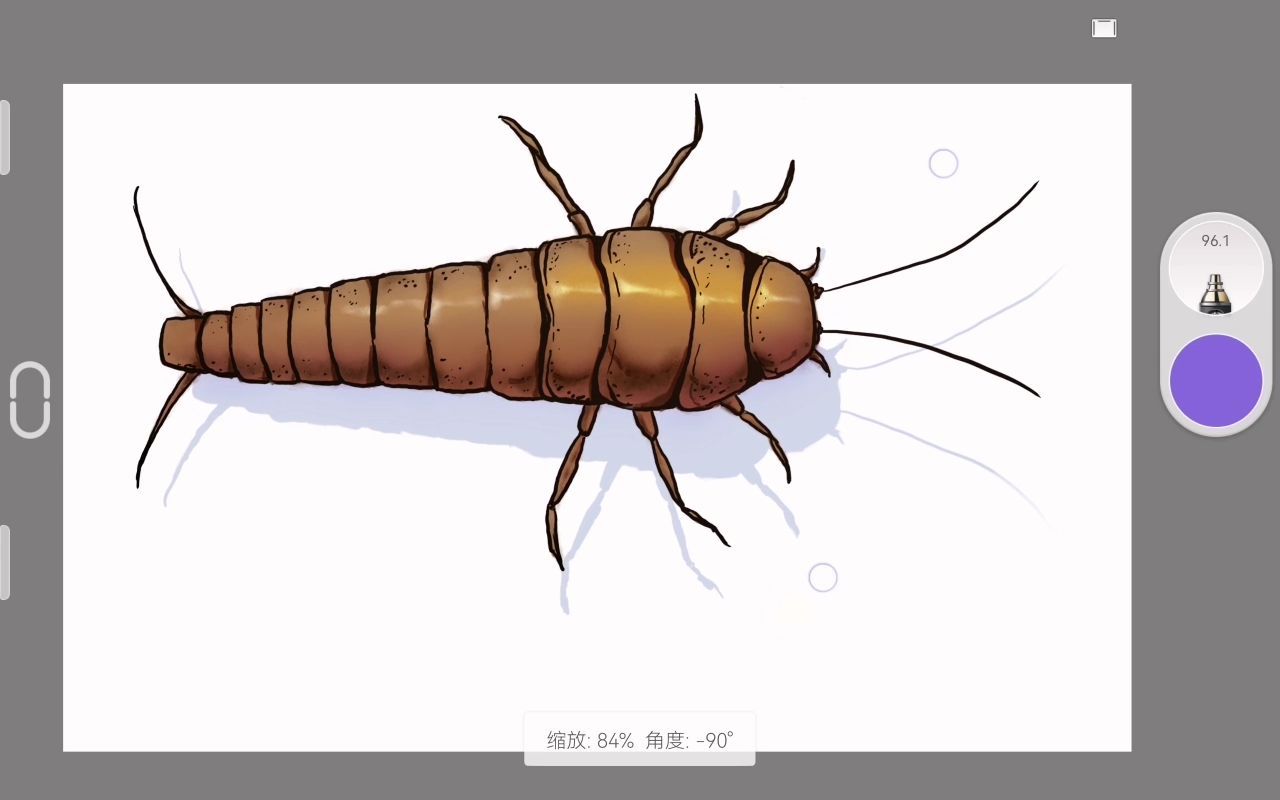 【昆虫涂鸦】画个衣鱼,年年有余