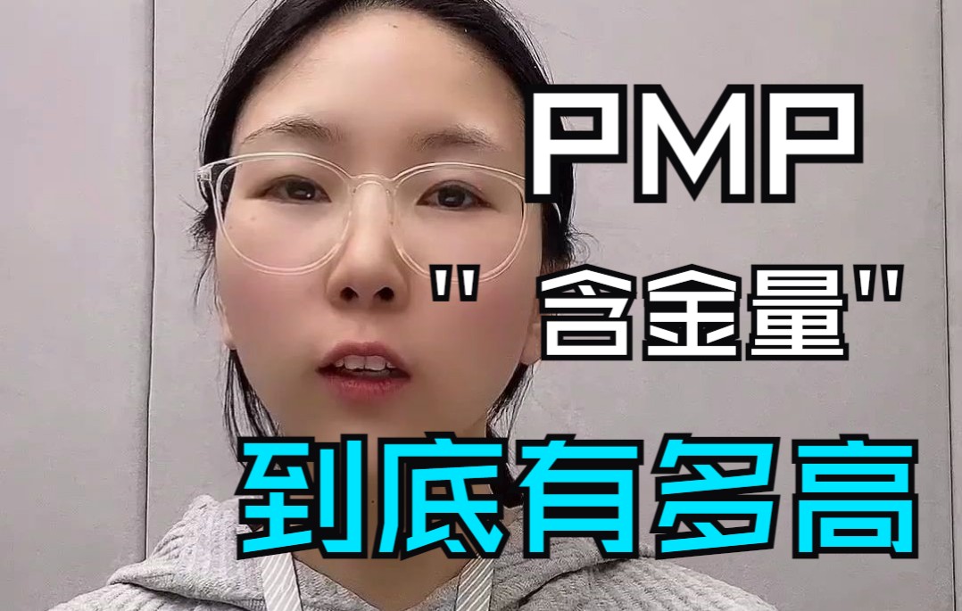 PMP证书的价值你有了解吗哔哩哔哩bilibili