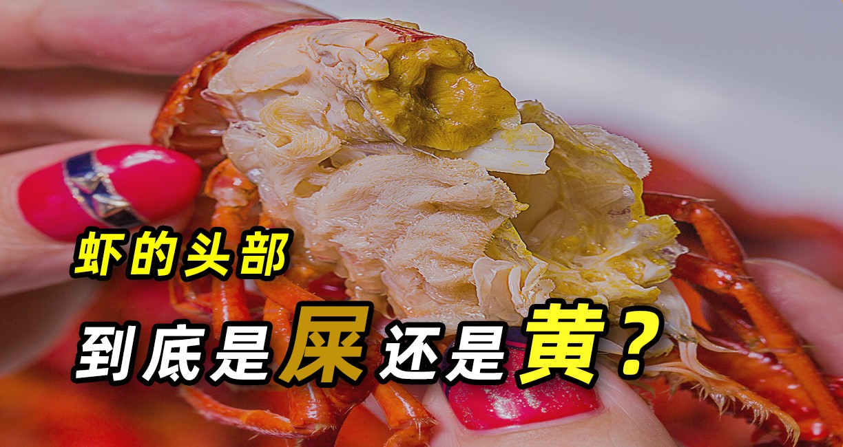 [图]虾线到底是什么东西？虾头里的“虾黄”是虾屎吗？到底能不能吃？