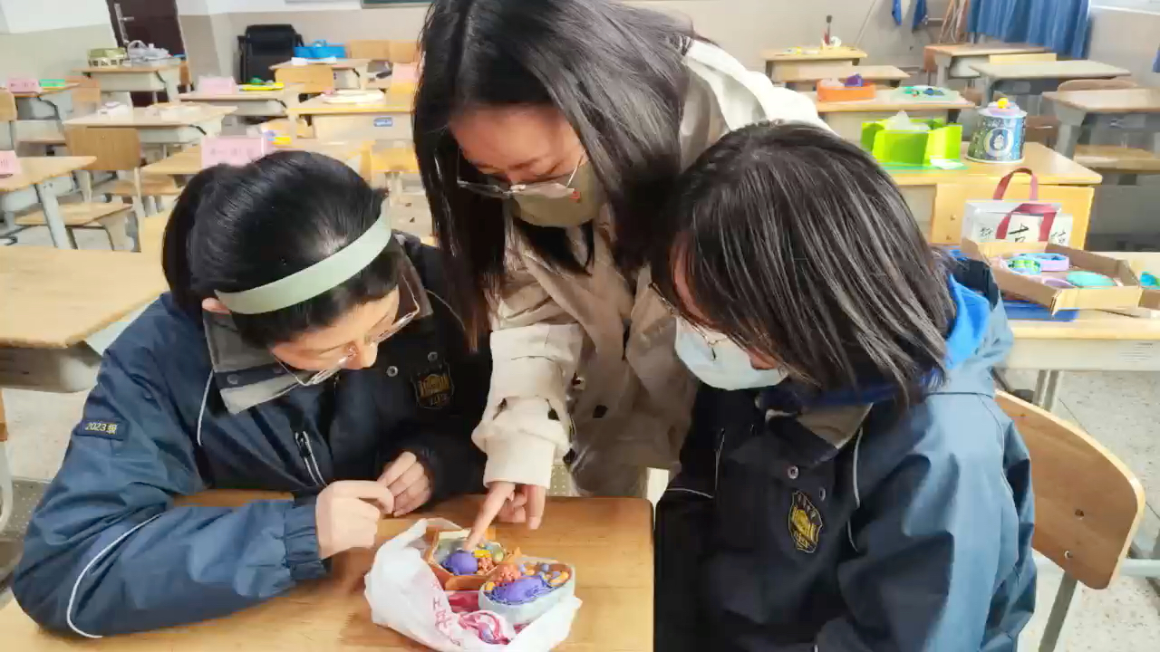 南京市宁海中学高一生物模型大赛哔哩哔哩bilibili