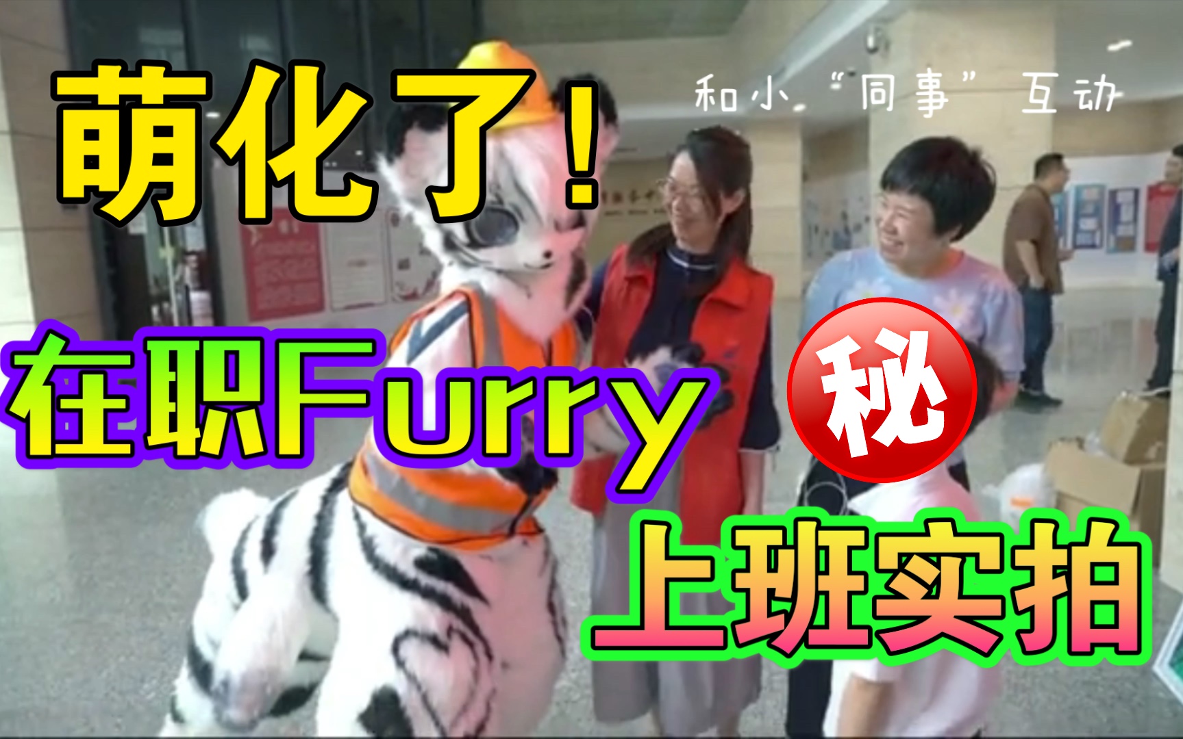 【鳗的fursuit 】真的有在公司里上班的毛毛哔哩哔哩bilibili