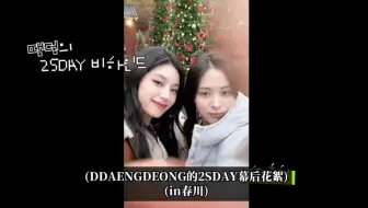 【真挚】staff，为啥我感觉花絮比正片还甜一些？😏