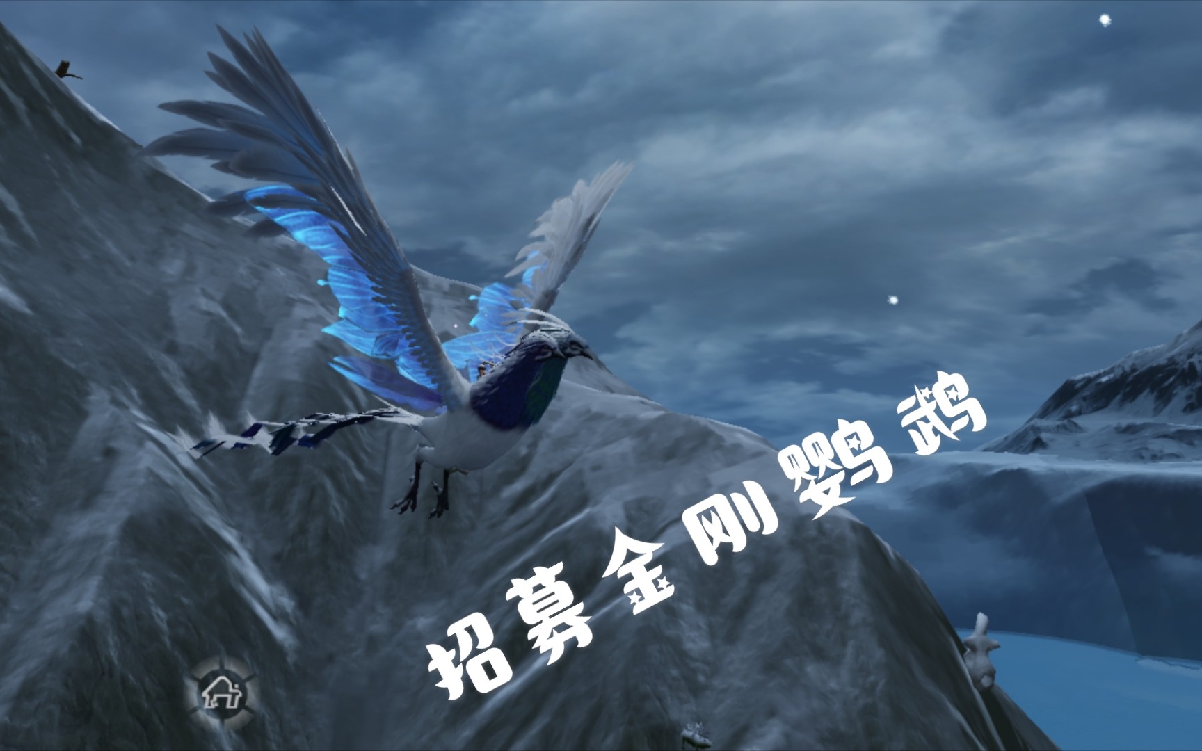 《妄想山海》招募金刚鹦鹉