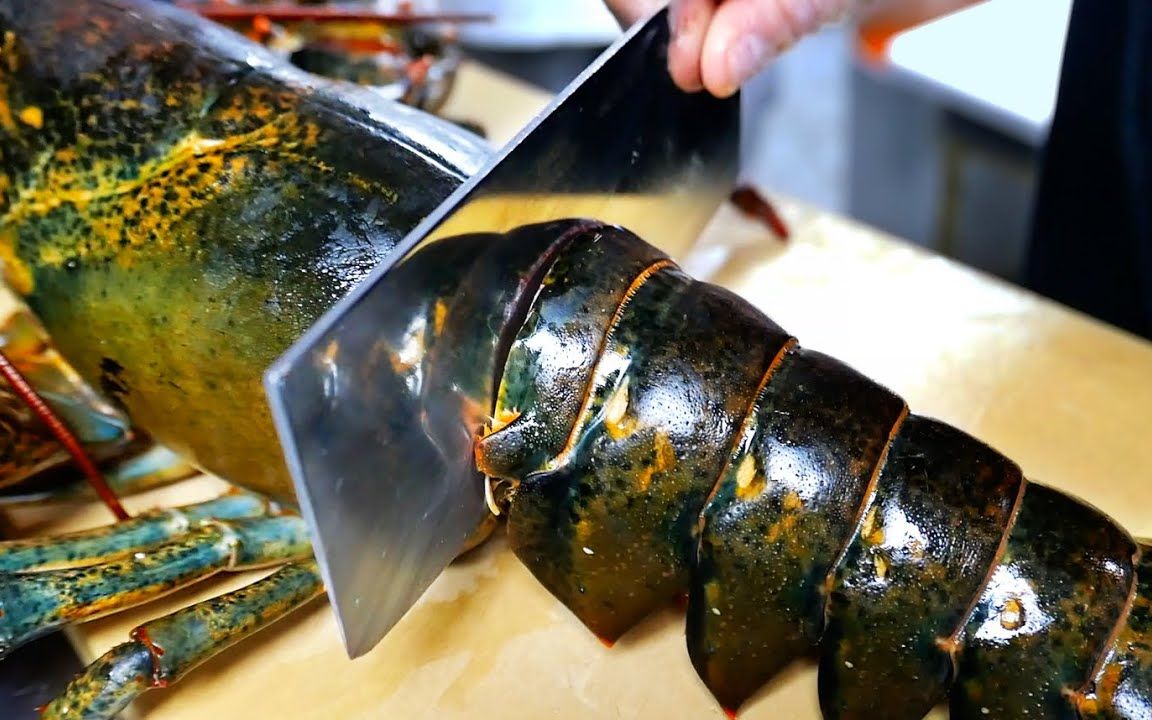 钳子比人手还大的巨钳龙虾