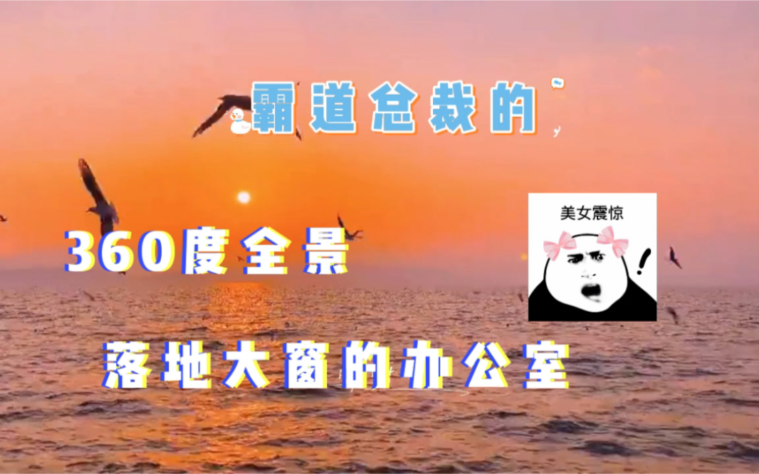 迪奥先生霸道总裁之俯瞰芸芸众生
