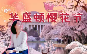 Download Video: 【冰汝看美国13】华盛顿樱花节也爬树赏花？中国大妈吐槽有钱没地儿花