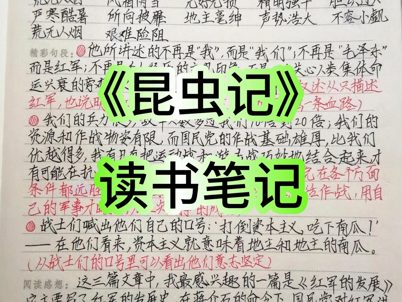 [图]名著导读《昆虫记》，全新手写读书笔记总结，全部为大家手抄好了，暑假马上结束了，同学们好好看一下，做好查漏补缺哦，内容较多，赶紧保存打印出来吧。