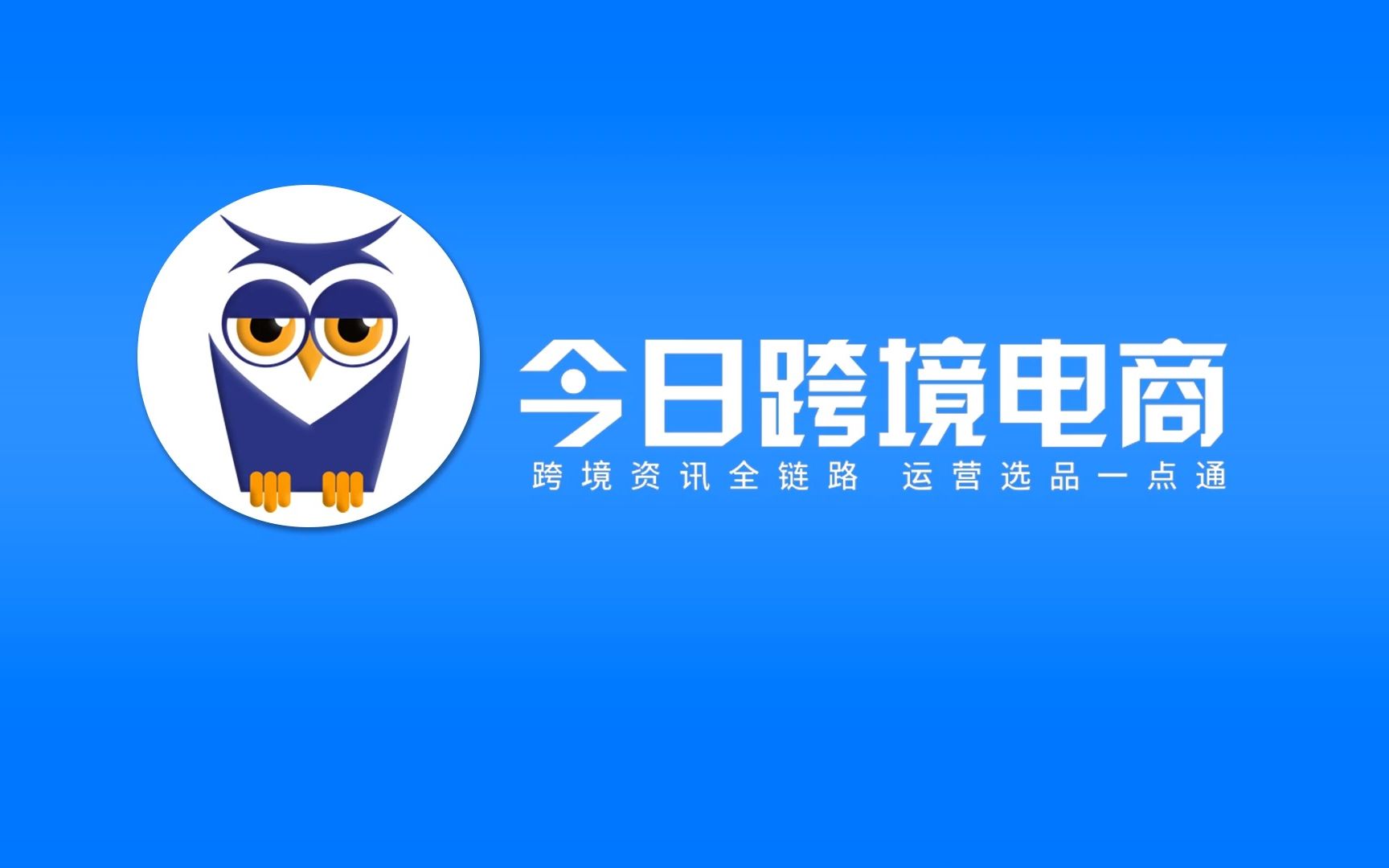 全网最好用的OZON定价工具推荐哔哩哔哩bilibili