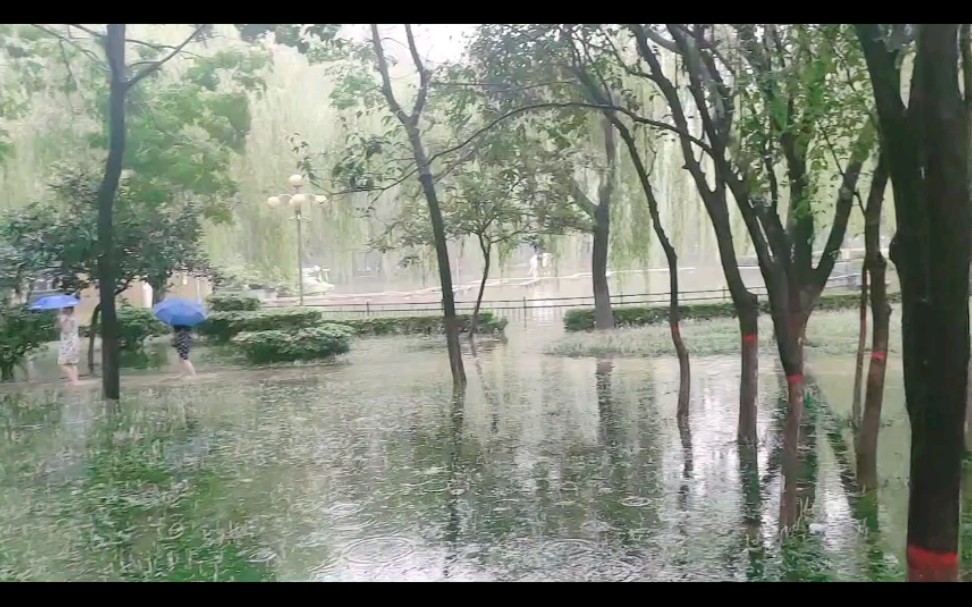 河南省郑州市中牟县海域(2)哔哩哔哩bilibili