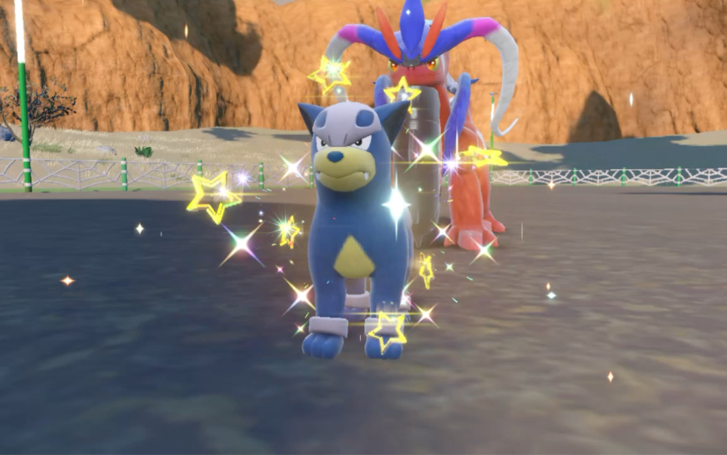 【宝可梦朱紫】蛋闪全记录ep22—戴鲁比