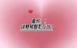 Download Video: 【玲珑月】魅影：“我都让成那样了，你还攻不过！！！”