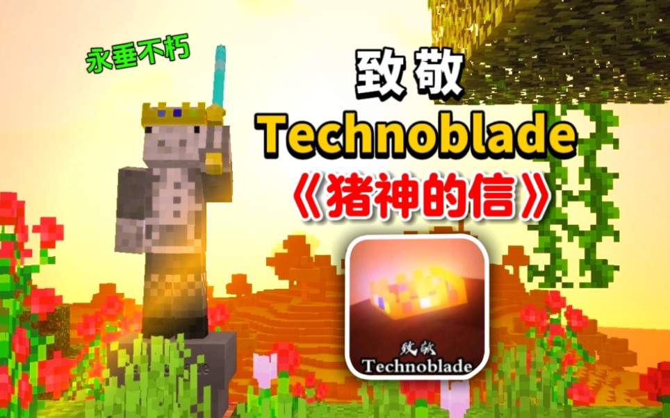 致敬Technoblade模组《猪神的信》-望辰爱测评-望辰爱测评-哔哩哔哩视频
