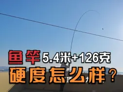 Descargar video: 126克的5.4米鱼竿硬度怎样