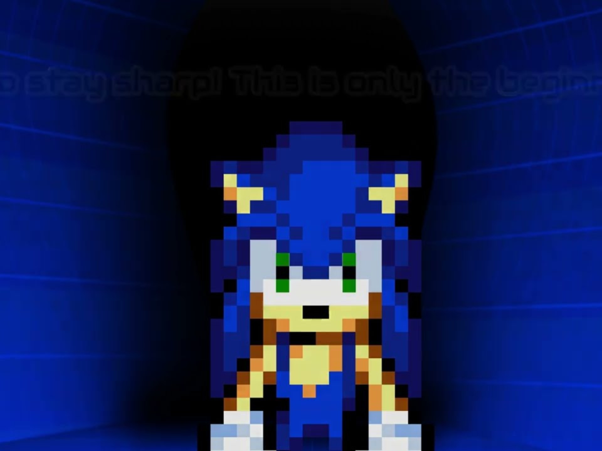 【像素动画】索尼克的训练