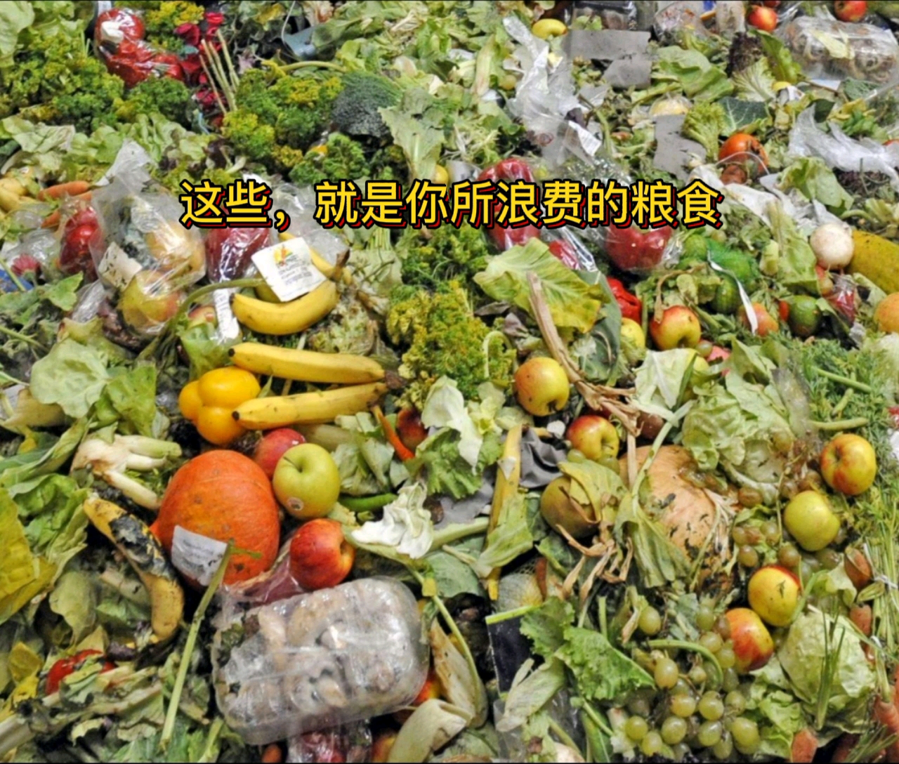 [图]节约粮食，从你我做起