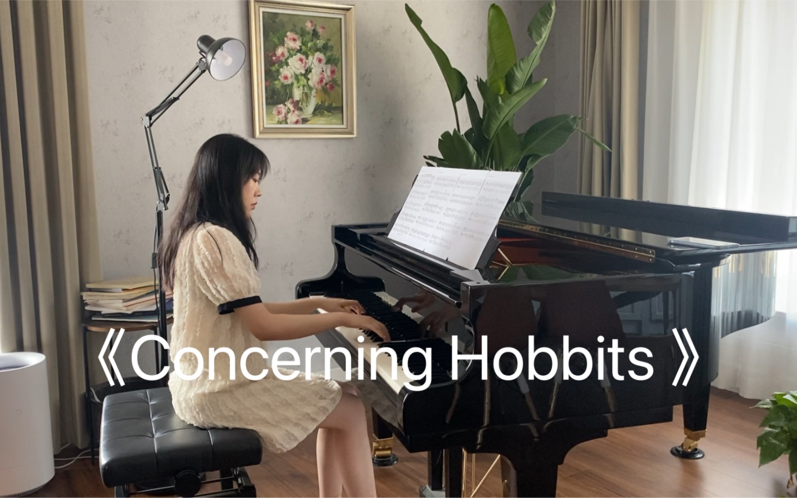 [图]指环王《Concerning Hobbits 》| 钢琴| 主题曲