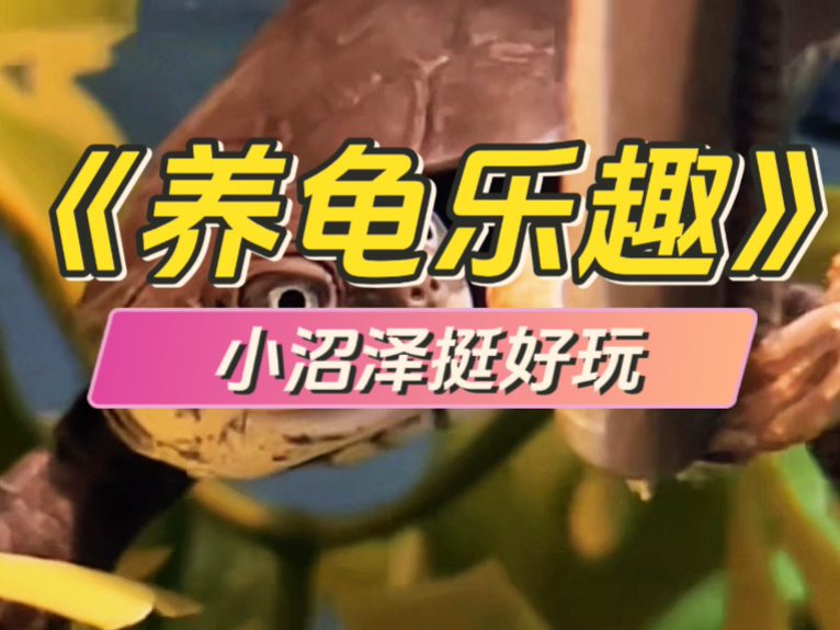 怎么会有这么可爱的小龟龟呢-好奇发-好奇发-哔哩哔哩视频