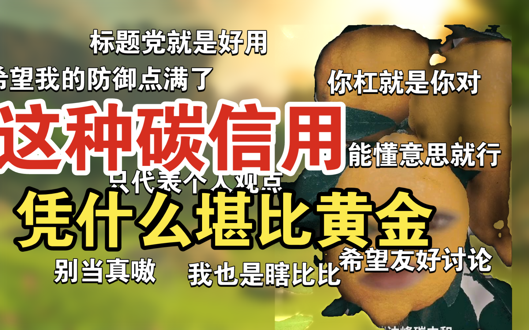 国际互认的且有国家背书的碳信用我认为就是黄金,就说这个6.4er哔哩哔哩bilibili