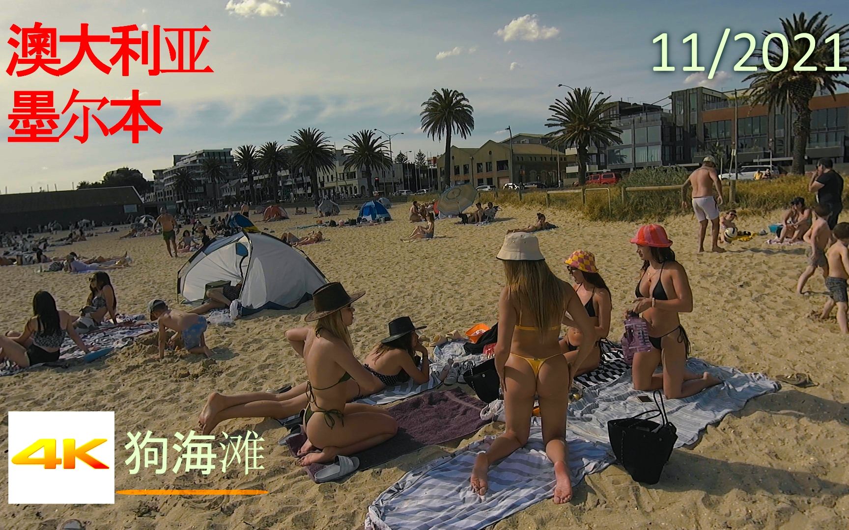 [图]【超清澳大利亚】墨尔本跑马节漫步狂热狗海滩(Dog beach) 2021.11