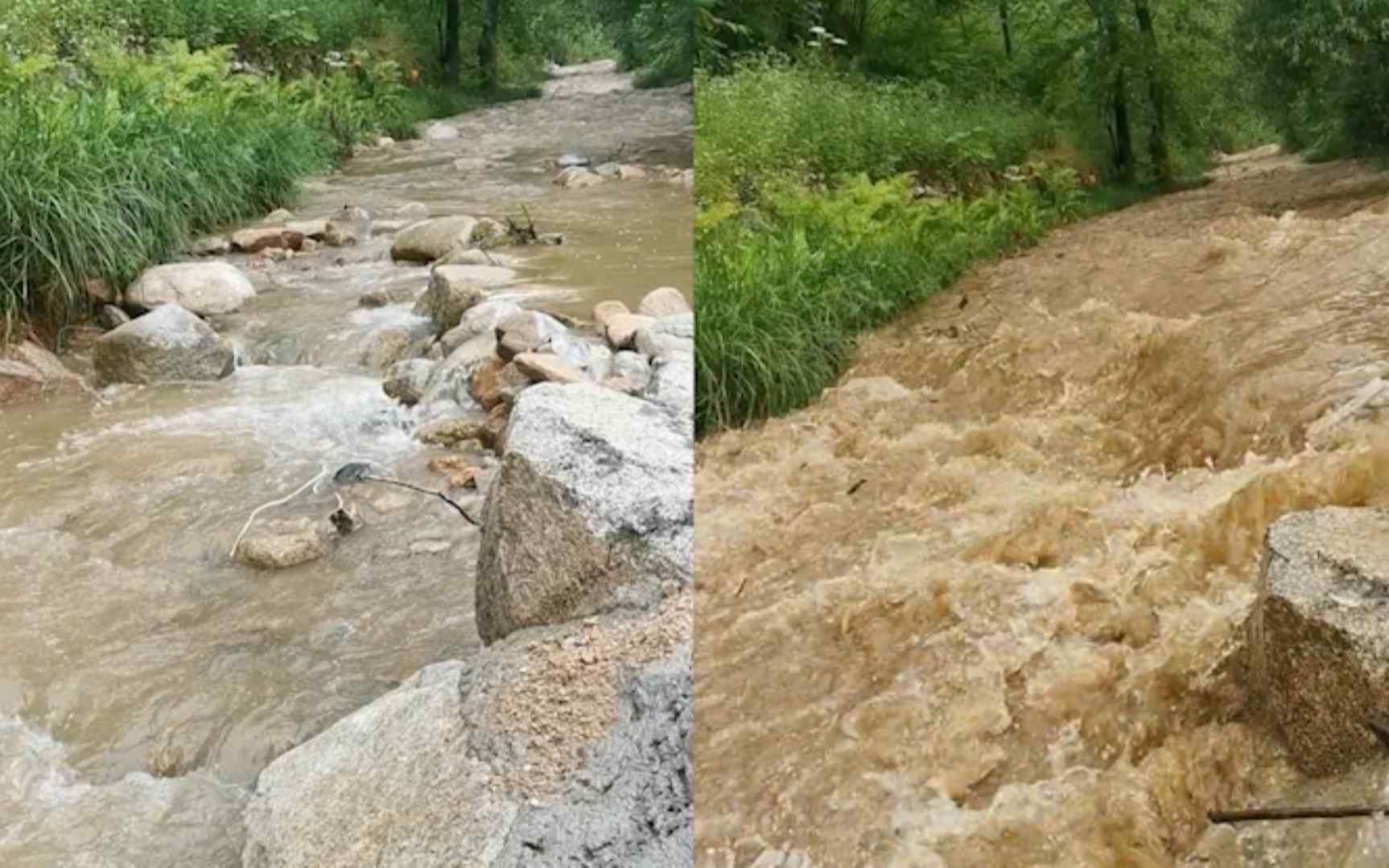 实拍商洛暴雨后山洪暴发,洪水席卷而来:清澈溪水瞬间变浑浊哔哩哔哩bilibili