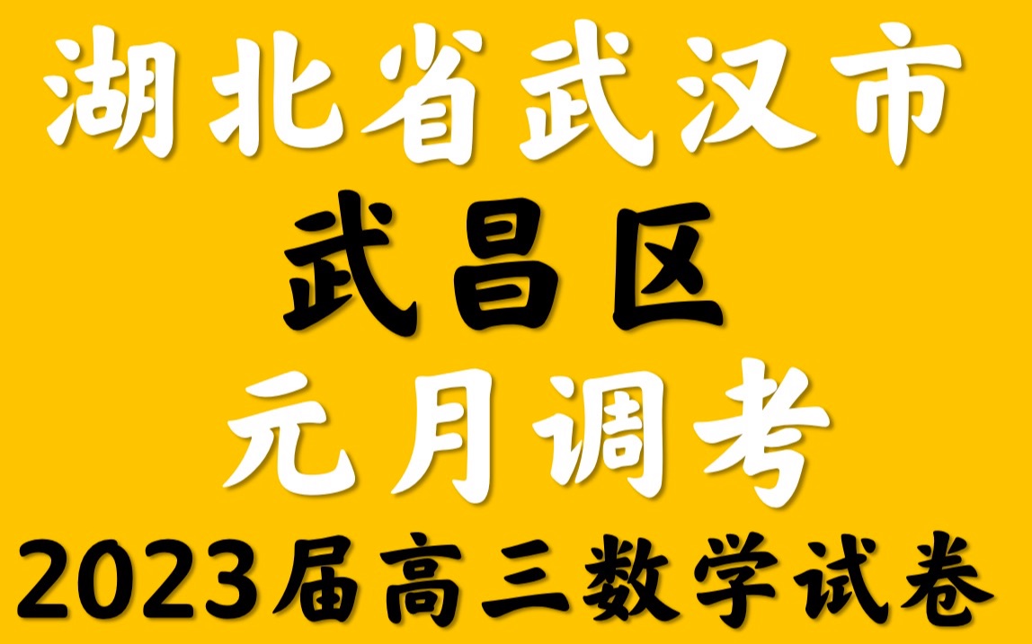 [图]湖北省武汉市武昌区2023届高三元月调考数学试题