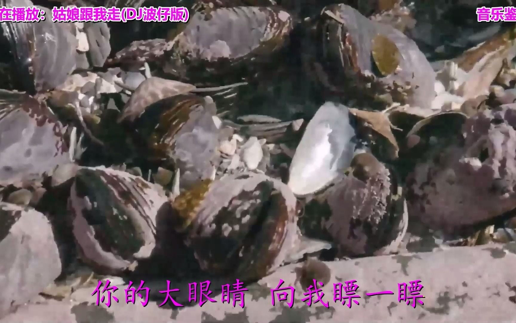 [图]经典老歌：《姑娘跟我走》宁静悠远，婉转低沉