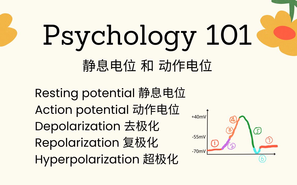 Psychology101|静息电位(Resting potential) 和动作电位(Action potential)哔哩哔哩bilibili