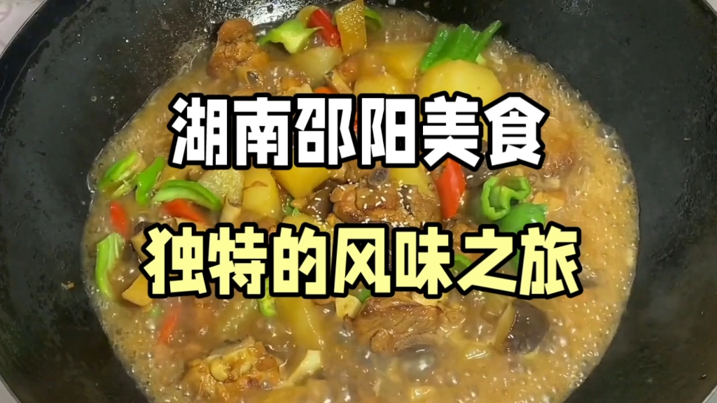 湖南邵阳独特风味: 一道道让人陶醉的美食哔哩哔哩bilibili