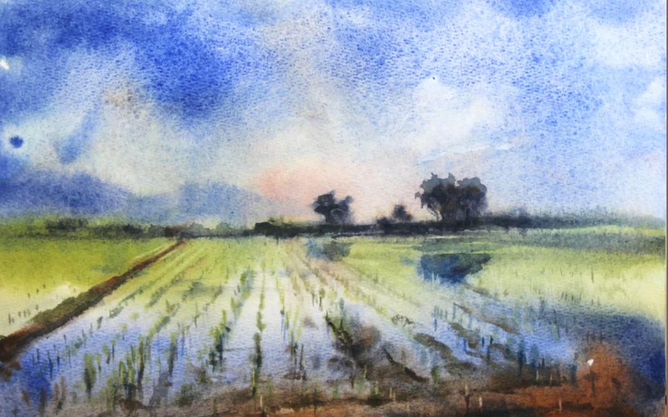 王文诜水彩过程搬运水稻田