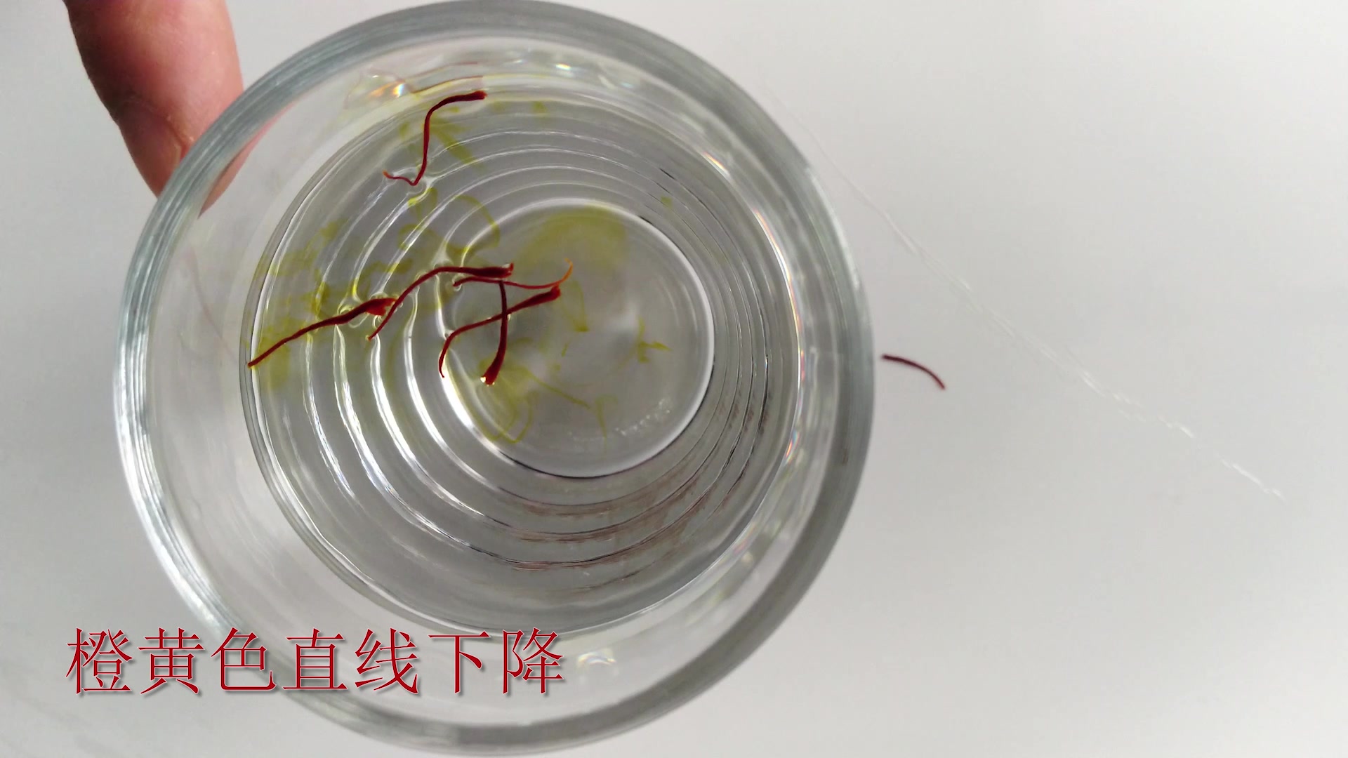 西红花又叫番红花藏红花,鉴别真伪可以用水试水浸泡显橙黄色直线下降