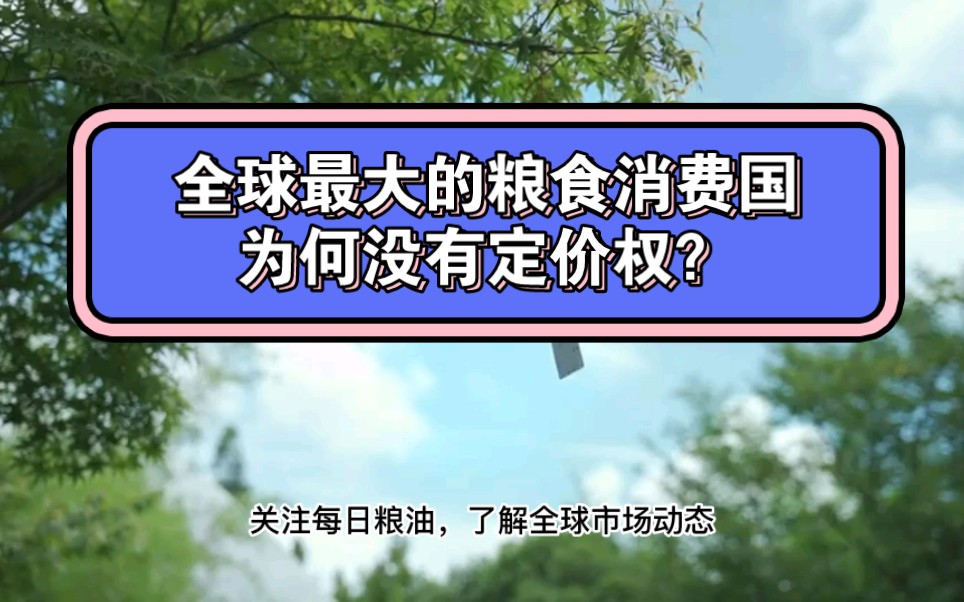 每日粮油新观察:全球最大的粮食消费国为何没有定价权?规避美国高价玉米韩国囤积巴西玉米,埃及增加面包补贴金额哔哩哔哩bilibili