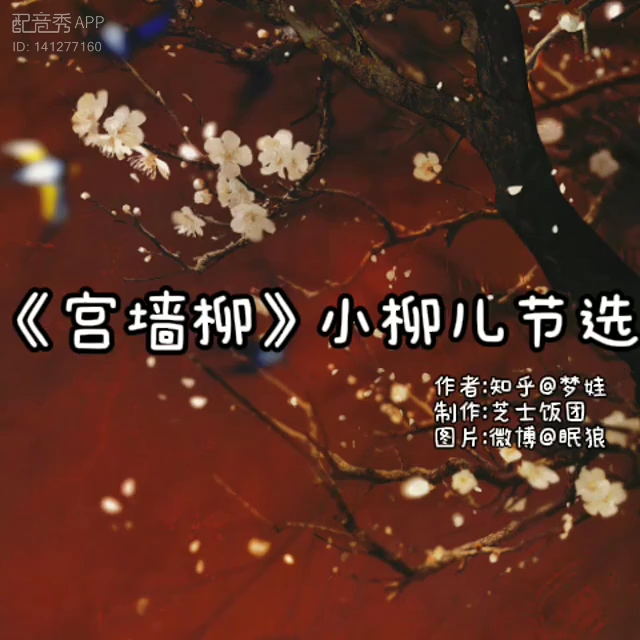 《宫墙柳》小柳儿节选