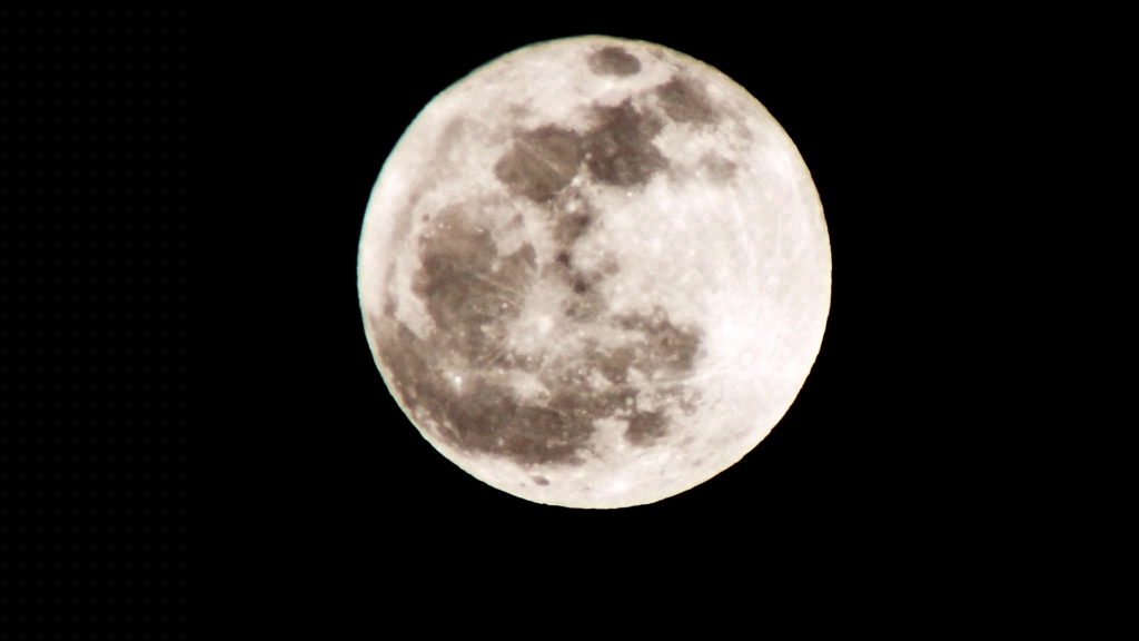 月光下的倩影竟是如此动人.