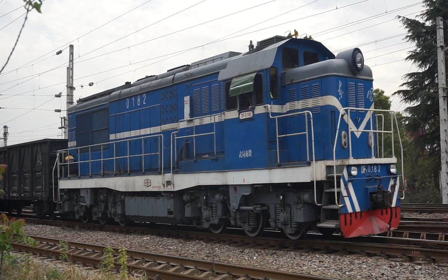 武东小日常之df7