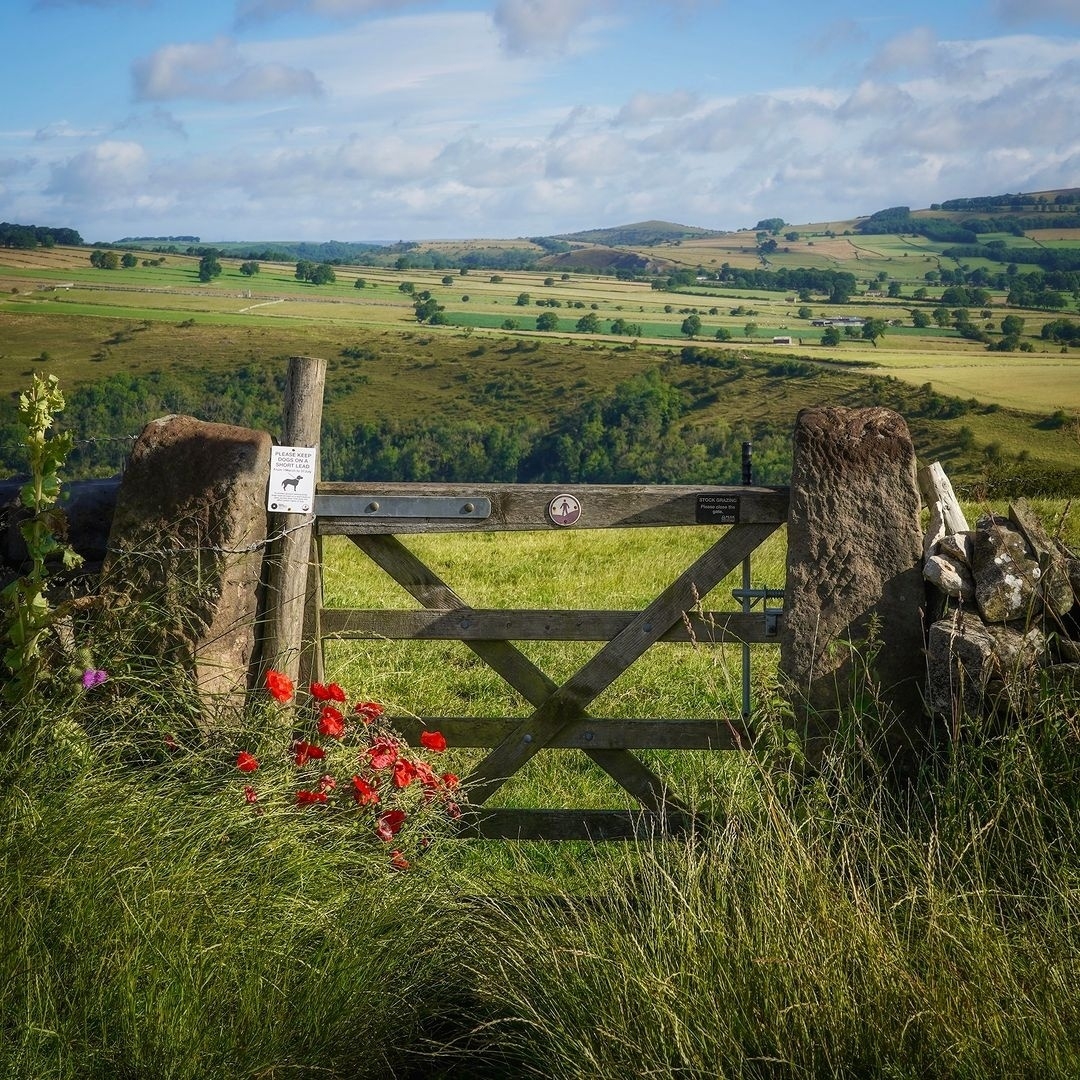 英国德比郡峰区的夏日田园风光9491.