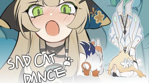 ✦Sad cat dance✦_哔哩哔哩_bilibili