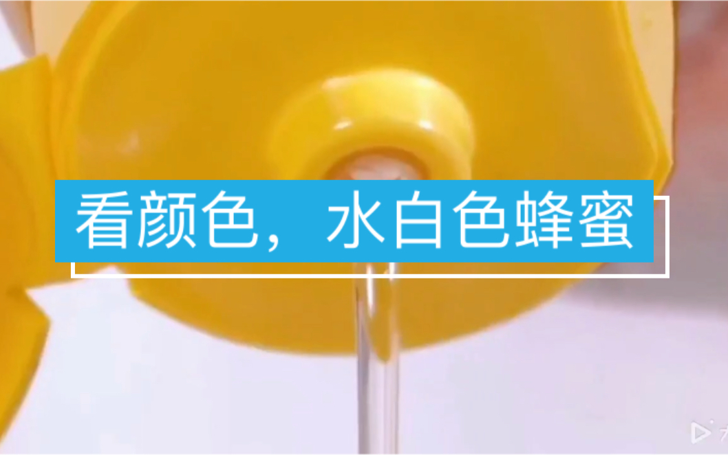 [图]看颜色，水白色才是纯洋槐花蜂蜜