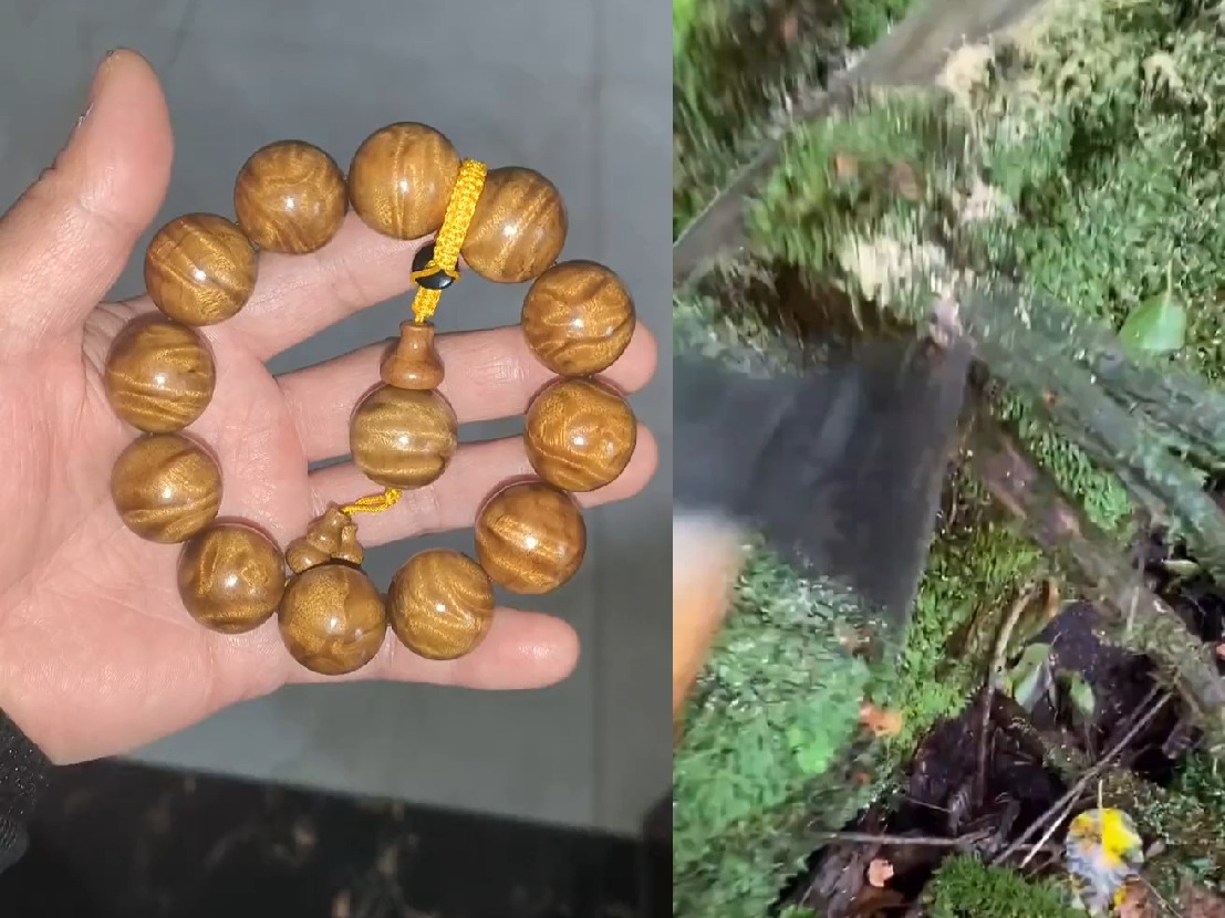 楠枯木老料闪电龙胆纹药香味浓郁花纹灵动透亮金丝楠手串佛珠金丝楠木
