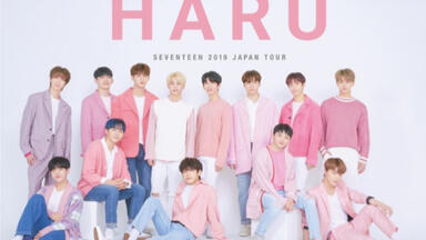 seventeen 1080P】HARU SEVENTEEN 2019 JAPAN TOUR 日本演唱会_