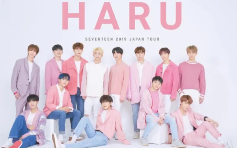 Seventeen】2019年日本HARU演唱会首首经典吹爆小十七的live实力_哔哩哔 