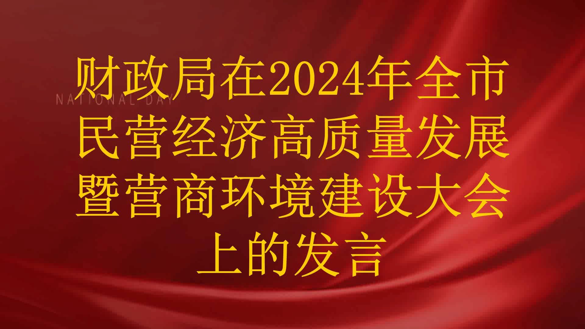 财政局在2024年全市民营经济高质量发展暨营商环境建设大会上的发言哔哩哔哩bilibili