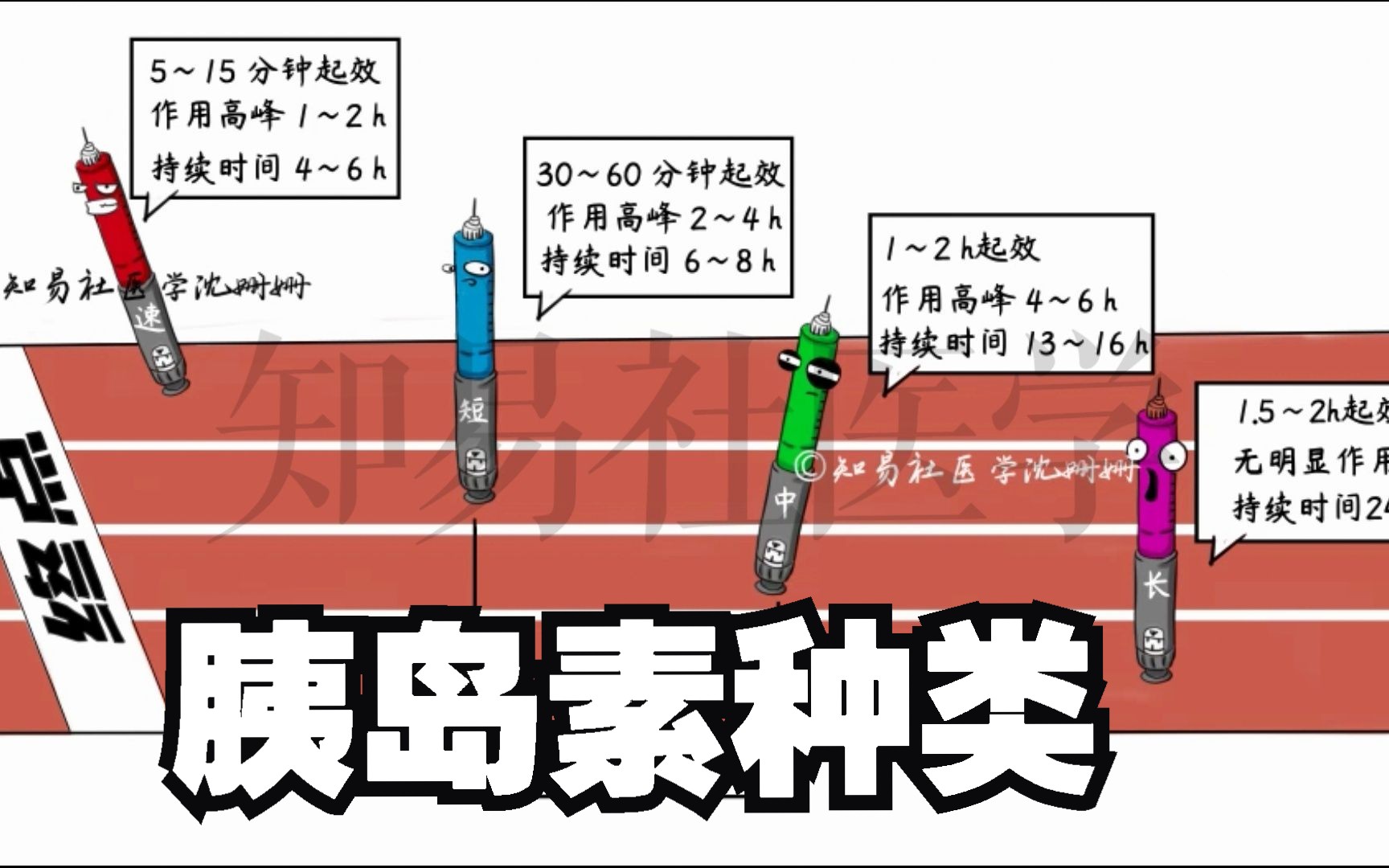 [图]医学带背 4分钟掌握 【胰岛素种类】速效+短效+中效+长效+预混