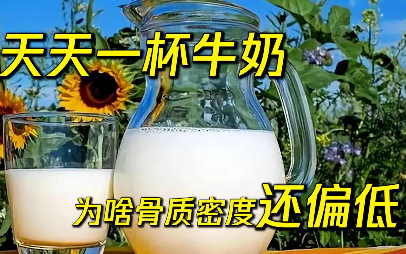 天天一杯牛奶骨质密度还偏低?牛奶真的对补钙有帮助吗?哔哩哔哩bilibili