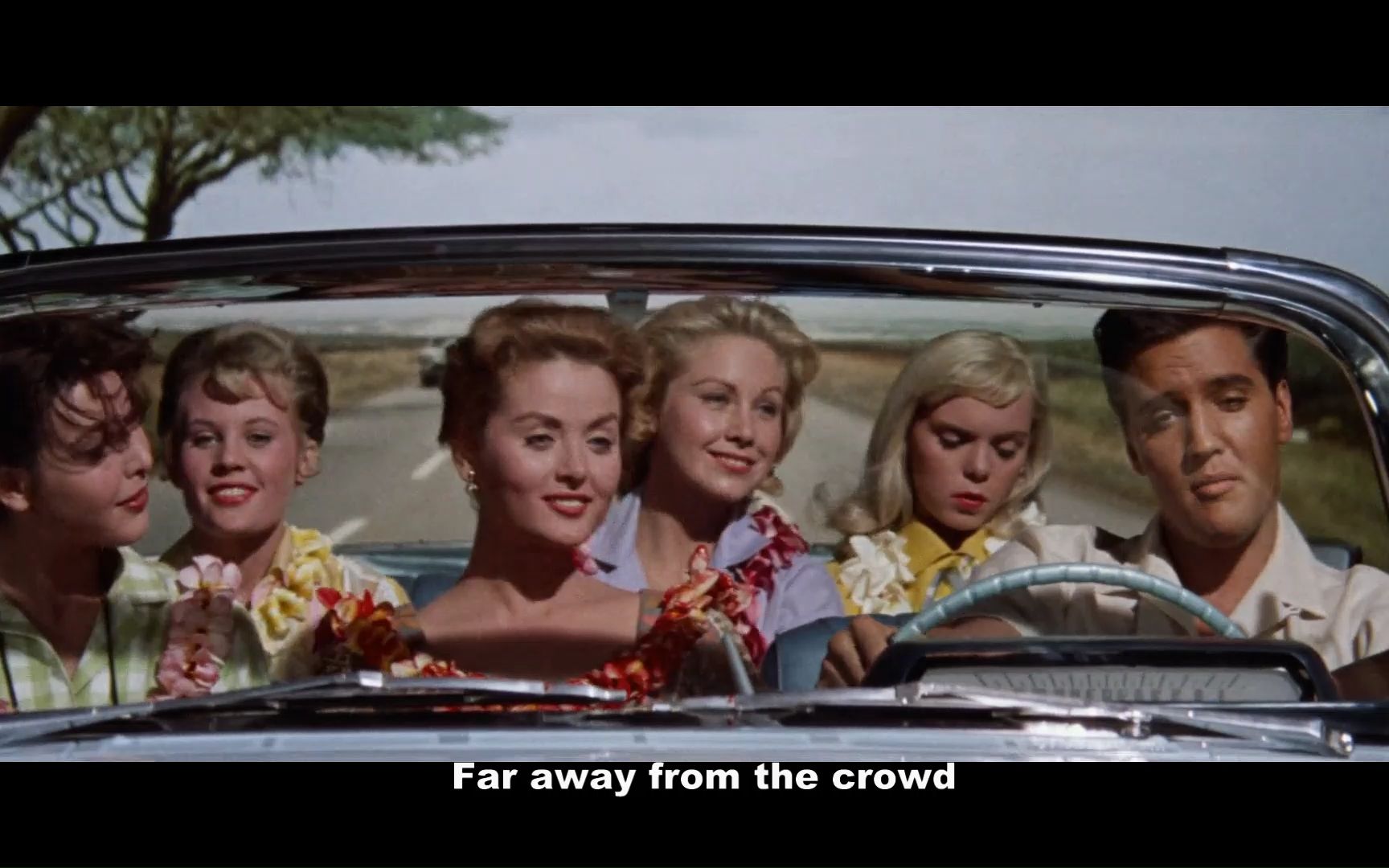 猫王电影 moonlight swim 电影原画版 蓝色夏威夷