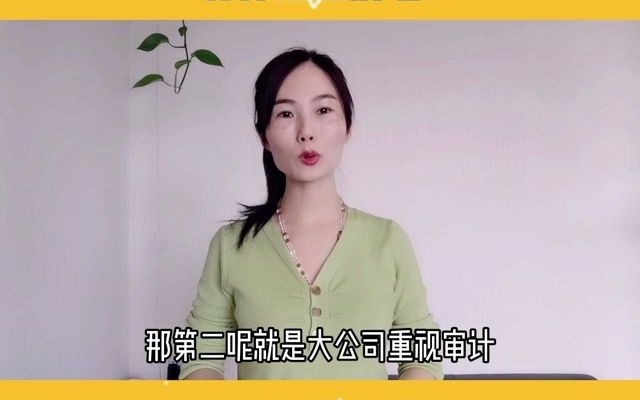 大公司和小公司的财务有什么区别呢?财务培训哔哩哔哩bilibili