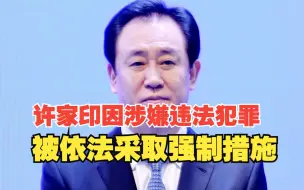 Download Video: 许家印因涉嫌违法犯罪，已被依法采取强制措施